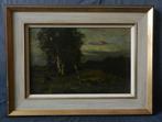 Olieverf Drie Berkenbomen op de hei , ongesign. 19x29 cm., Ophalen of Verzenden