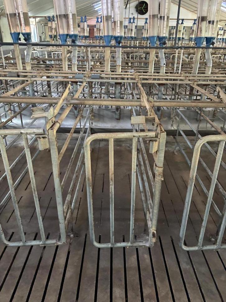 Vereijken boxen [669], Dieren en Toebehoren, Overige Dieren-accessoires, Ophalen of Verzenden