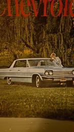 Gezocht  chevrolet impala  1964 sierstrips, Chevrolet, Nieuw, Ophalen of Verzenden, Spatbord