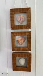 Wanddecoratie met drie lijstjes met schelpen, Huis en Inrichting, Ophalen of Verzenden, Zo goed als nieuw