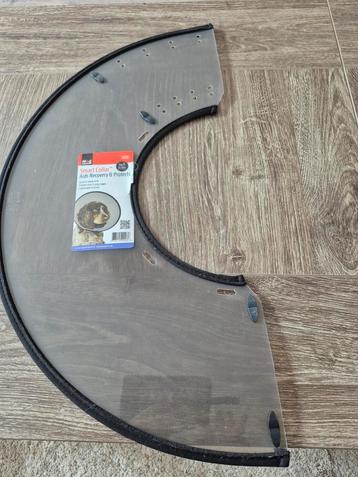 Honden kraag beschikbaar voor biedingen