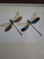 Echte opgezette libelle in lijst, Ophalen of Verzenden, Zo goed als nieuw, Insect, Opgezet dier