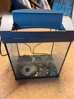Aquarium, Dieren en Toebehoren, Vissen | Aquaria en Toebehoren, Ophalen of Verzenden, Zo goed als nieuw, Leeg aquarium
