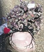 GOUDEN DRIEHOEK - BOOM: Rozenkwarts Bergkristal & Amethist, Ophalen of Verzenden, Mineraal