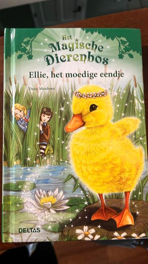 Daisy Meadows - Ellie, het moedige eendje, Boeken, Kinderboeken | Jeugd | onder 10 jaar, Zo goed als nieuw, Ophalen of Verzenden