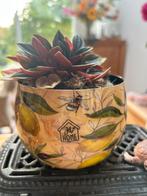 Bloempot met plantje, Kunststof, Rond, Ophalen of Verzenden, Zo goed als nieuw