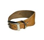 ALOKÉ Greyhound Halsband Leer S Cognac Nek 25,5-31 cm KOOPJE, Ophalen of Verzenden, Handgemaakt, Nieuw