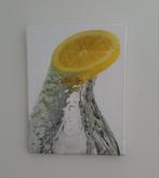 Poster Citroen 3040, Ophalen, Minder dan 50 cm, Zo goed als nieuw, Foto of Poster