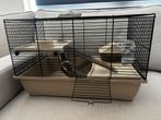 Hamster hok + toebehoren, Kooi, Minder dan 75 cm, Zo goed als nieuw, Hamster