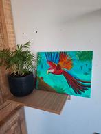 Ara op Canvas - 30x40 cm, Ophalen of Verzenden