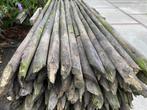 Fruitboom palen, Ophalen, Gebruikt, 250 cm of meer, Palen