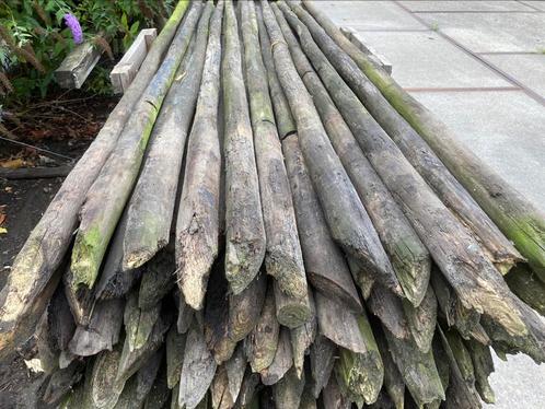Fruitboom palen, Tuin en Terras, Palen, Balken en Planken, Gebruikt, Palen, 250 cm of meer, Ophalen