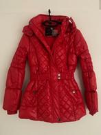 Winterjas-rood-maat164, Ophalen of Verzenden, Nieuw, Meisje, Jas