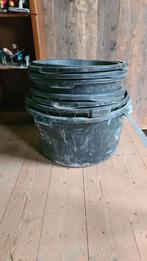 7 x specie kuub in 1 koop €70.00, Ophalen