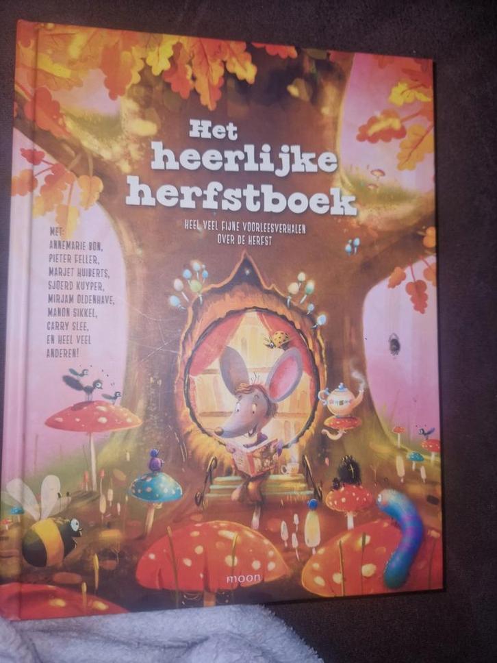Ruby Coene - Het heerlijke herfstboek, Boeken, Kinderboeken | Jeugd | onder 10 jaar, Zo goed als nieuw, Fictie algemeen, Ophalen of Verzenden