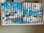 Donald Duck pockets 20 stuks, Meerdere comics, Ophalen of Verzenden, Zo goed als nieuw, Europa