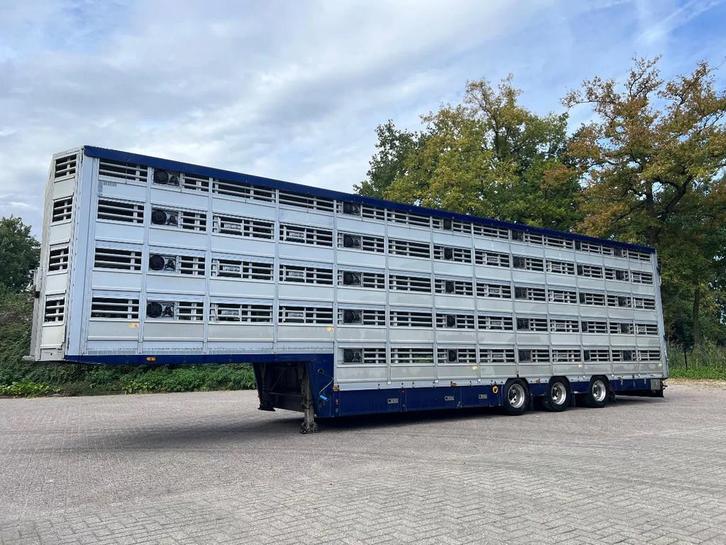 Pezzaioli 5 stock Livestock Full options (bj 2018), Auto's, Vrachtwagens, Te koop, Lichtmetalen velgen, Aanhangers en Opleggers