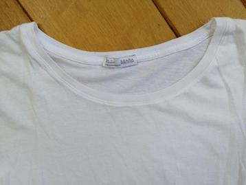 ZARA Collection W&B t -shirt wit maat M - nieuw - beschikbaar voor biedingen