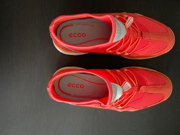 Ecco schoenen maat 38 beschikbaar voor biedingen