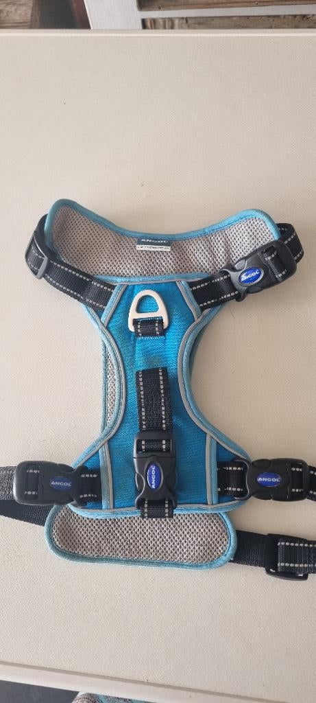 Ancol harnas hondenharnas maat L, Ophalen of Verzenden, Nieuw