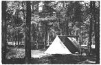 965161	Oisterwijk	N Br 1965 Camping	de Reebok	Nette oude kaa, Ophalen of Verzenden, 1960 tot 1980, Ongelopen, Noord-Brabant