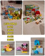Lego Duplo Setjes - Dieren, Minnie Mouse, Ophalen of Verzenden, Zo goed als nieuw, Duplo