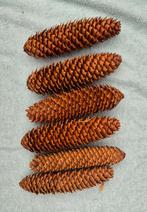 Dennenappels - Set van 6 - Nieuw, Tuin en Terras, Tuinbeelden, Ophalen of Verzenden, Nieuw, Hout, Overige typen