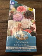 Scabiosa Zaad - Mooie Pluimachtige Bloemen, Tuin en Terras, Ophalen of Verzenden, Voorjaar, Volle zon, Zaad