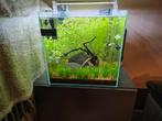 SuperFish Scaper Qube 60 – compleet & plug-and-play, Ophalen, Zo goed als nieuw, Gevuld zoetwateraquarium