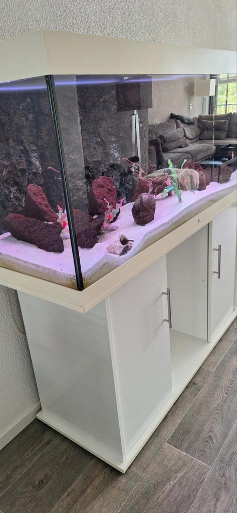 Juwel aquarium 150 cm breed, Dieren en Toebehoren, Vissen | Aquaria en Toebehoren, Gebruikt, Gevuld zoetwateraquarium, Ophalen