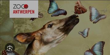 Zoo antwerpen dierentuin beschikbaar voor biedingen