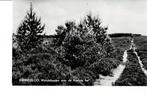 Dwingeloo, Ophalen of Verzenden, Gelopen, Drenthe
