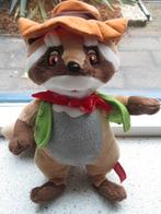 Wasbeer Randy Mascotte van Slagharen meet ca 30 cm, Ophalen of Verzenden, Zo goed als nieuw, Beer