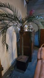 Partij kunstpalmbomen 4 stuks, Huis en Inrichting, Woonaccessoires | Kunstplanten en Kunstbloemen, Ophalen, Gebruikt