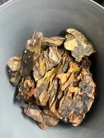 Dragonstone aquarium steen, Vis