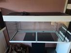 groot juwel 100 x 40 met kap en verlichting, Ophalen, Nieuw, Leeg aquarium