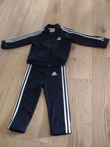 Adidas trainingspak voor baby/dreumes - maat 80 (9-12 mnd)