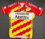 Wielertrui/wielershirt ARIOSTEA – NALINI - 1992/1993 - XL, Ophalen of Verzenden, Overige typen