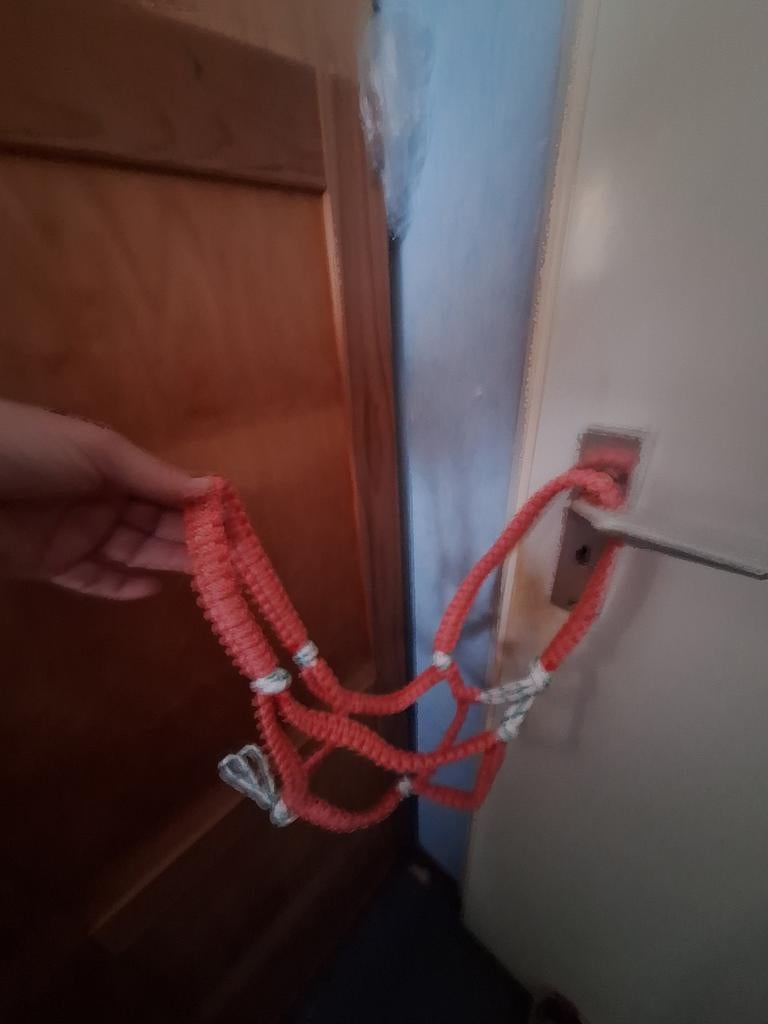 Te koop halster, Dieren en Toebehoren, Paarden en Pony's | Overige Paardenspullen, Ophalen of Verzenden, Nieuw, Overige soorten