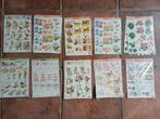 3D knipvellen, 10 verschillende (deel 9), Ophalen of Verzenden, Nieuw, Versiering of Embellishment