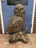 uil (groot model), Huis en Inrichting, Woonaccessoires | Overige, Ophalen, Woondecoratie eindhoven, Nieuw, Woondecoratie eindhoven