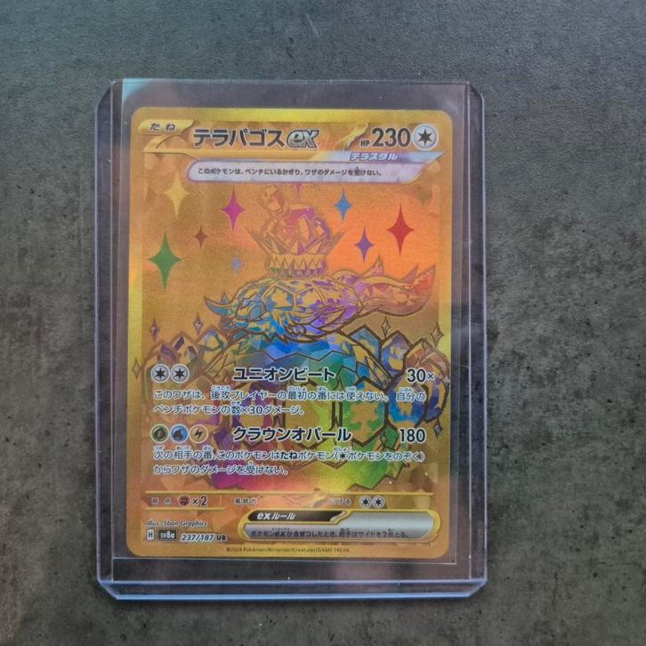 Terapagos Ex Gold Terastal Festival Near Mint, Hobby en Vrije tijd, Verzamelkaartspellen | Pokémon, Zo goed als nieuw, Ophalen of Verzenden