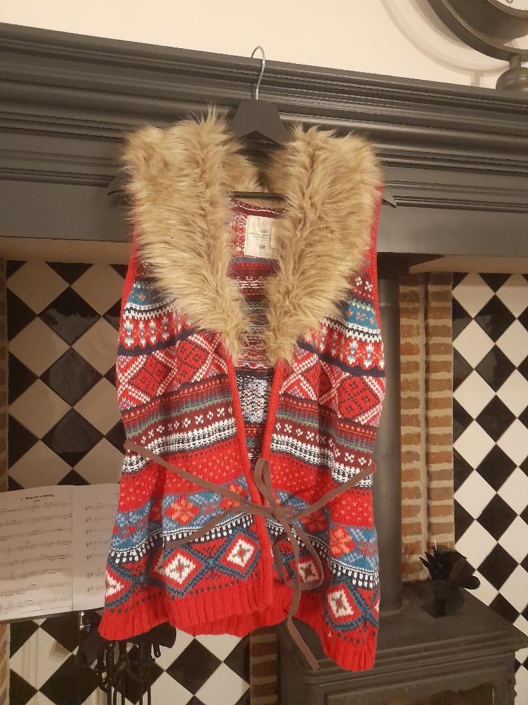 Vest, Kleding | Dames, Ophalen of Verzenden, Zo goed als nieuw, Maat 38/40 (M)