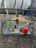 Hamsterkooi!, Kooi, Zo goed als nieuw, Ophalen, Hamster