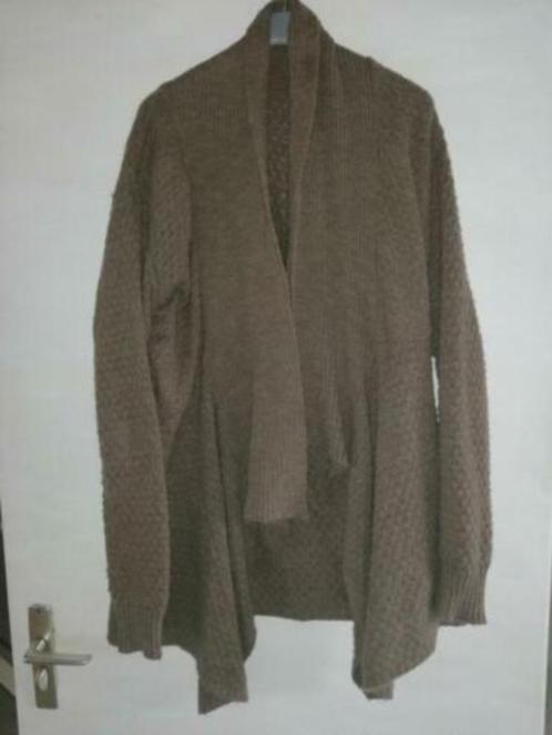 bruin warm gehaakt vest maat XL, Kleding | Dames, Truien en Vesten, Zo goed als nieuw, Maat 46/48 (XL) of groter, Bruin, Ophalen of Verzenden