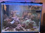 Zee aquarium, Dieren en Toebehoren, Ophalen of Verzenden, Zo goed als nieuw, Leeg aquarium