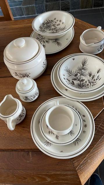 Prachtig 16 persoons Engels servies pinewood beschikbaar voor biedingen