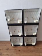 tentoonstellingskooien, Dieren en Toebehoren, Ophalen, Gebruikt, Hout, Vogelkooi