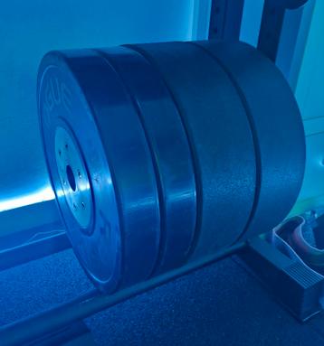 Rogue en Kingsbox Bumper Plates beschikbaar voor biedingen