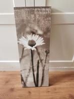 sepia schilderij, Minder dan 50 cm, Ophalen of Verzenden, 75 cm of meer, Print
